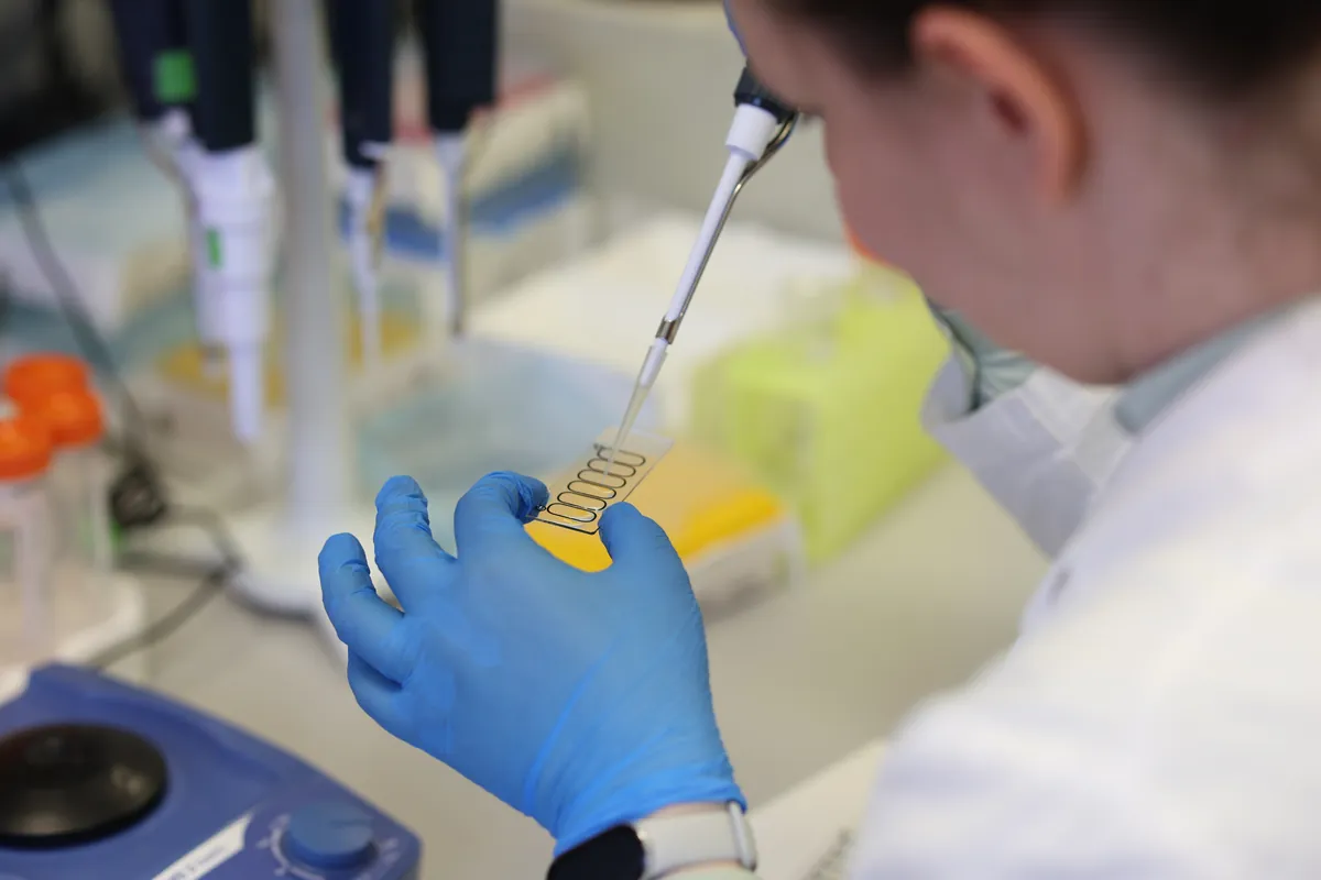Квантовые точки повысят точность диагностики аллергии