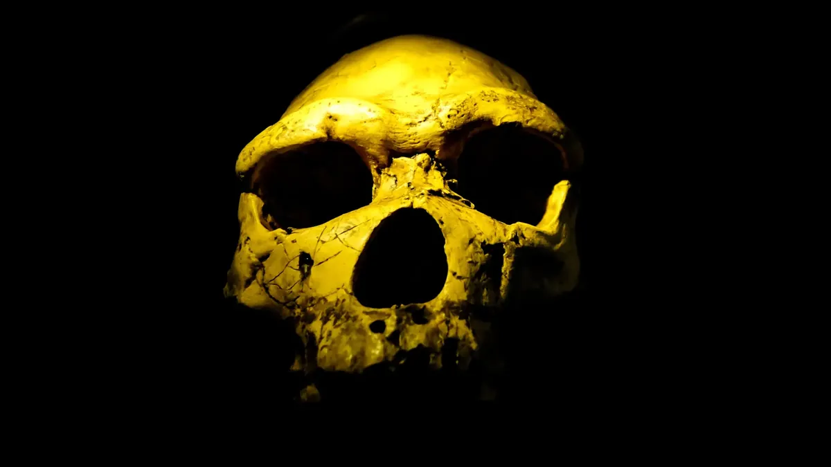 Homo erectus появился на 200 тысяч лет раньше: новые находки в ЮАР